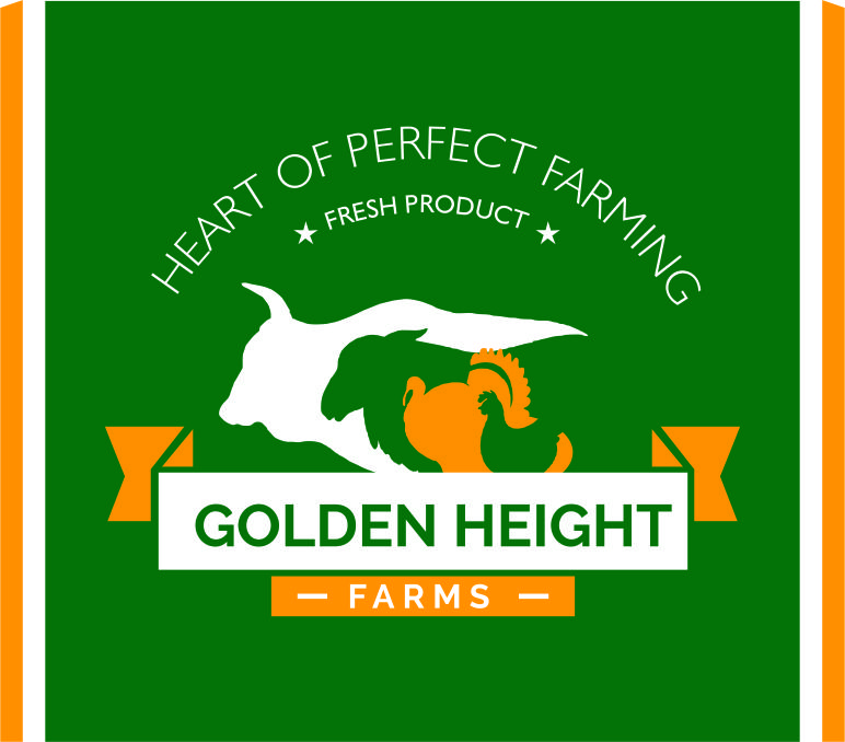 Golden Height Logo